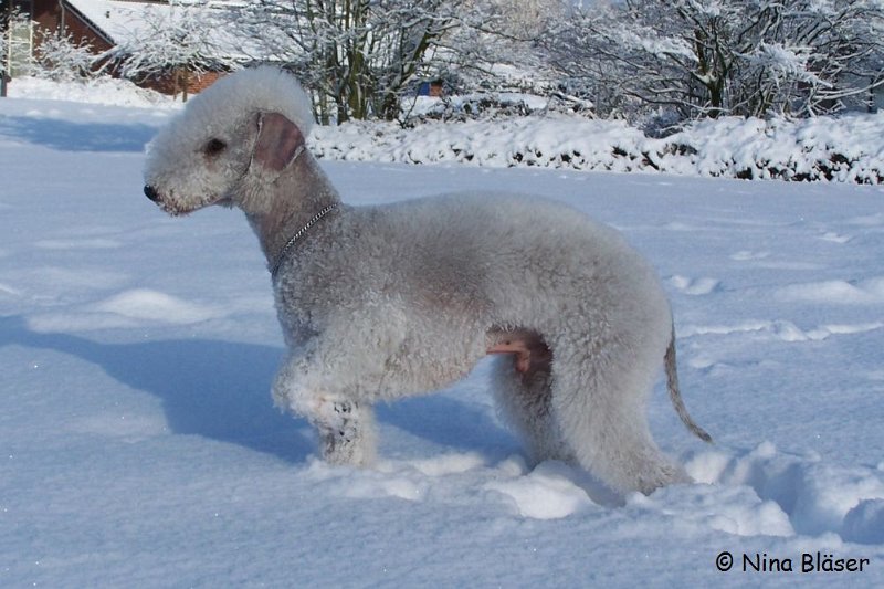 Svet 2008-01-05 (14).JPG